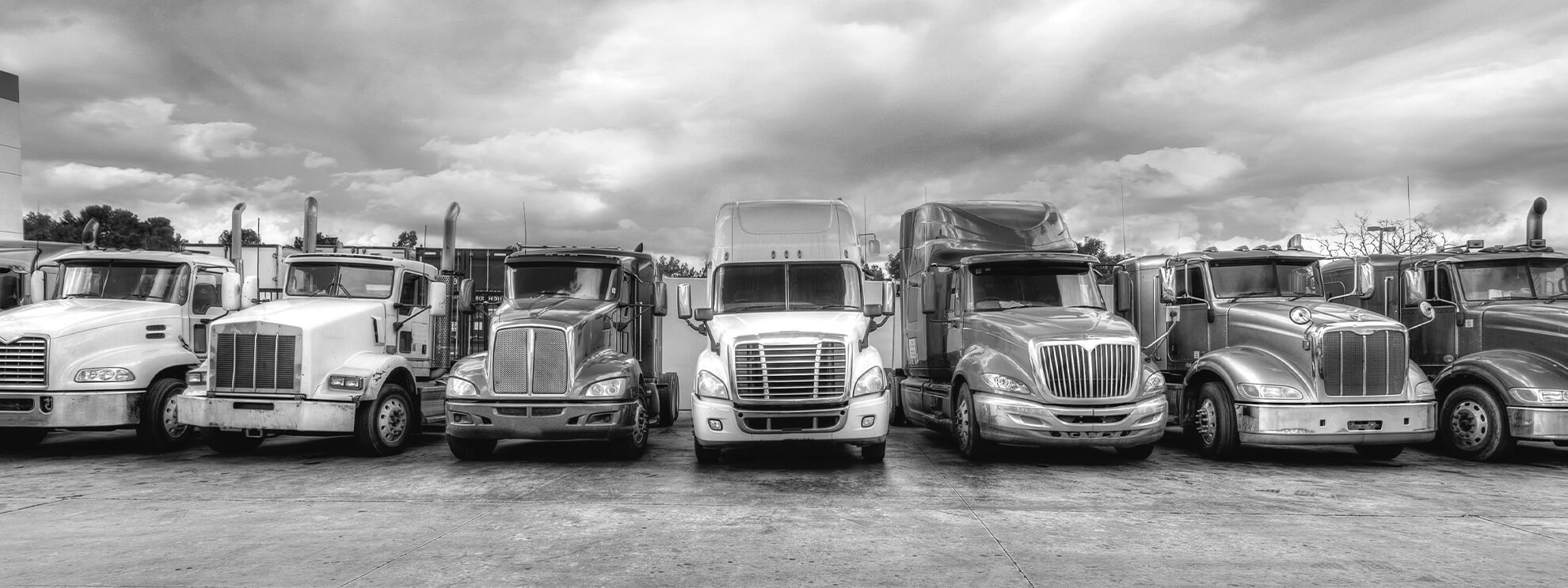 Lineup of Kenworth, Freightliner, & Peterbilt Semi Trucks
